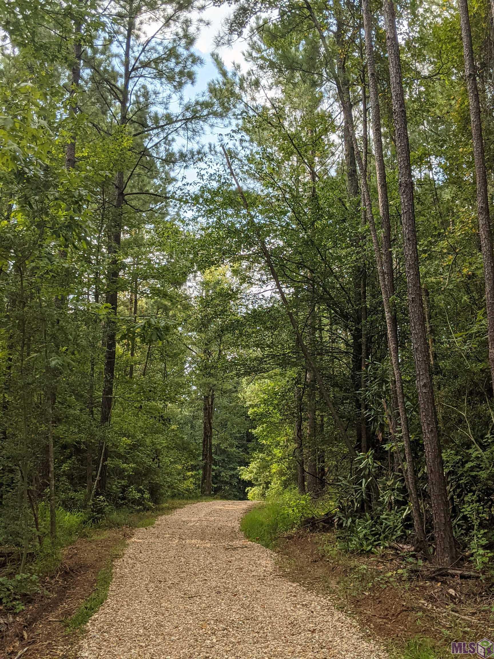 Beautiful Country House